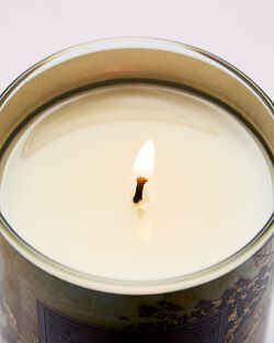 Fresh Cut Lilacs Single Wick Candle image number null