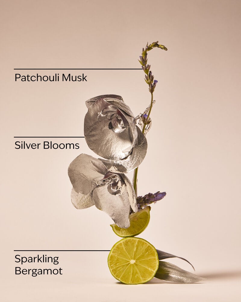 Platinum Fine Fragrance Mist Fine Fragrance Mist