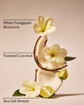 At The Beach Travel Size Conditioner Travel Size Conditioner