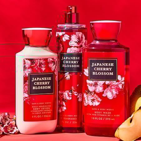 Japanese Cherry Bloosom