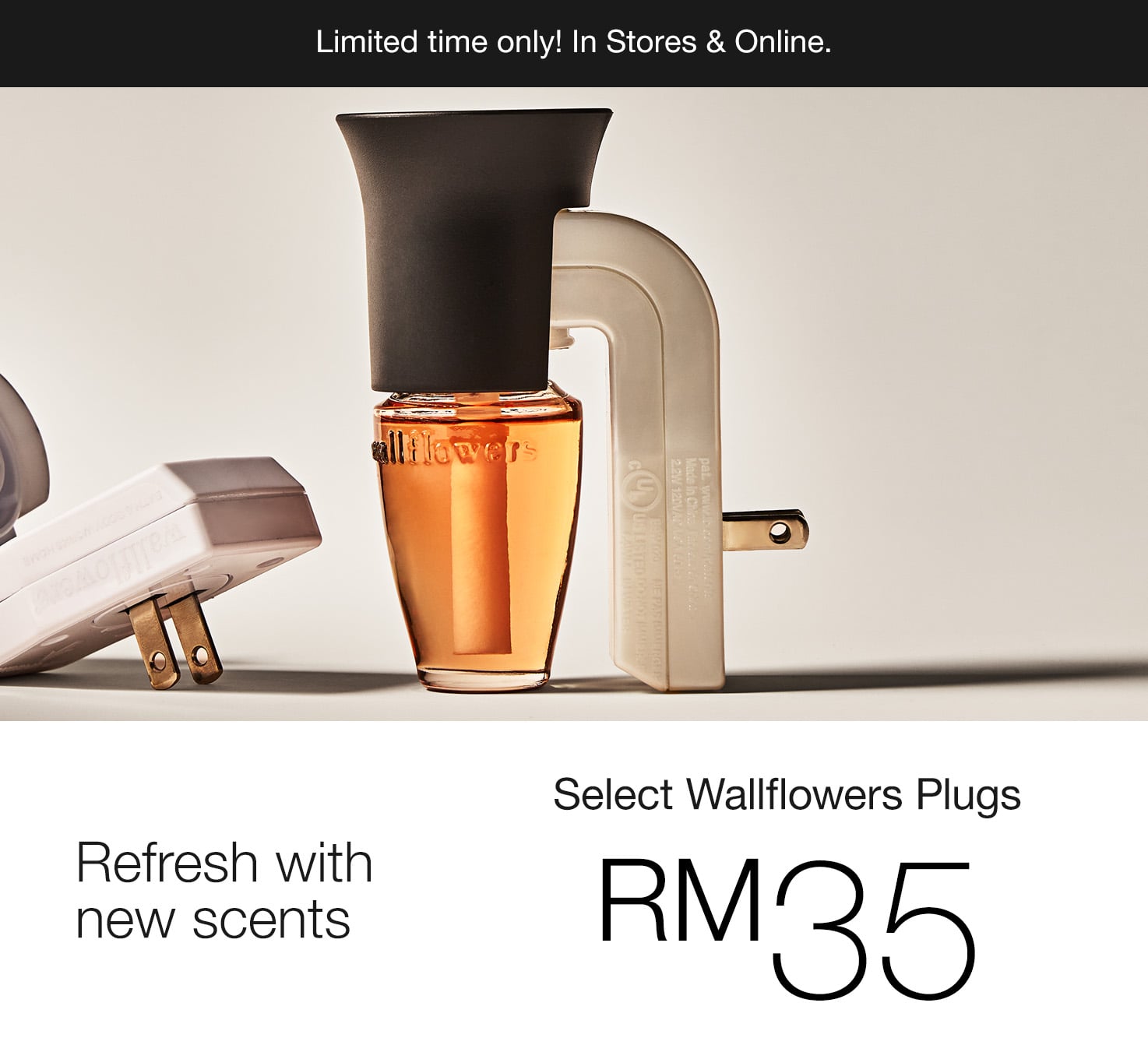 Select  Wallflower Plugs, Starts from RM35