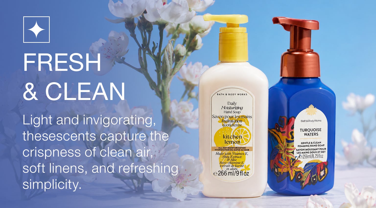 Fresh & Clean