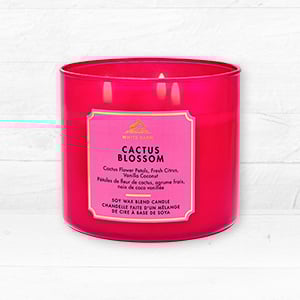 3-Wick Candles, Buy 2 For RM290